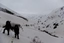 tout en marchant 3