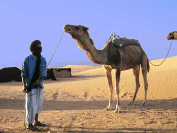 Désert du Sahara