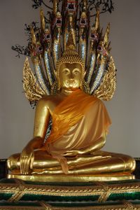 buddha