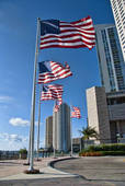 Miami2.jpg