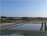 Marais salants