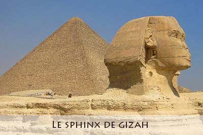 sphinx