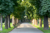 volksgarten