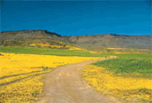 namaqualand