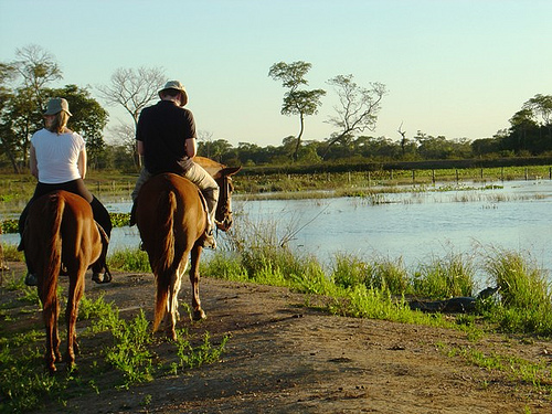 pantanal 2