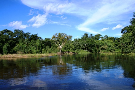 Pantanal