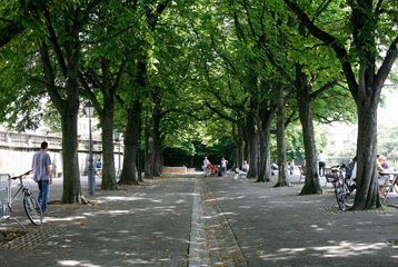 promenade-treille.jpg